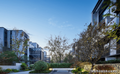 接近三甲病院等优