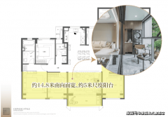 丰翔和南大D项目正