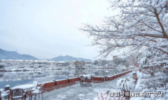 郊区室第重生活体例